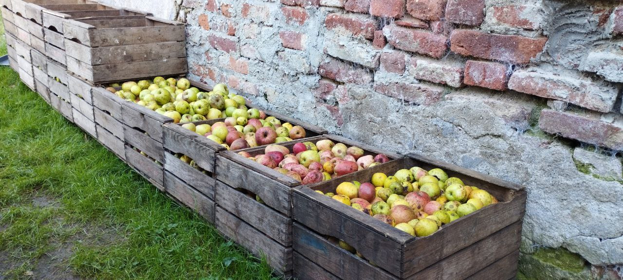 Apfelkisten
